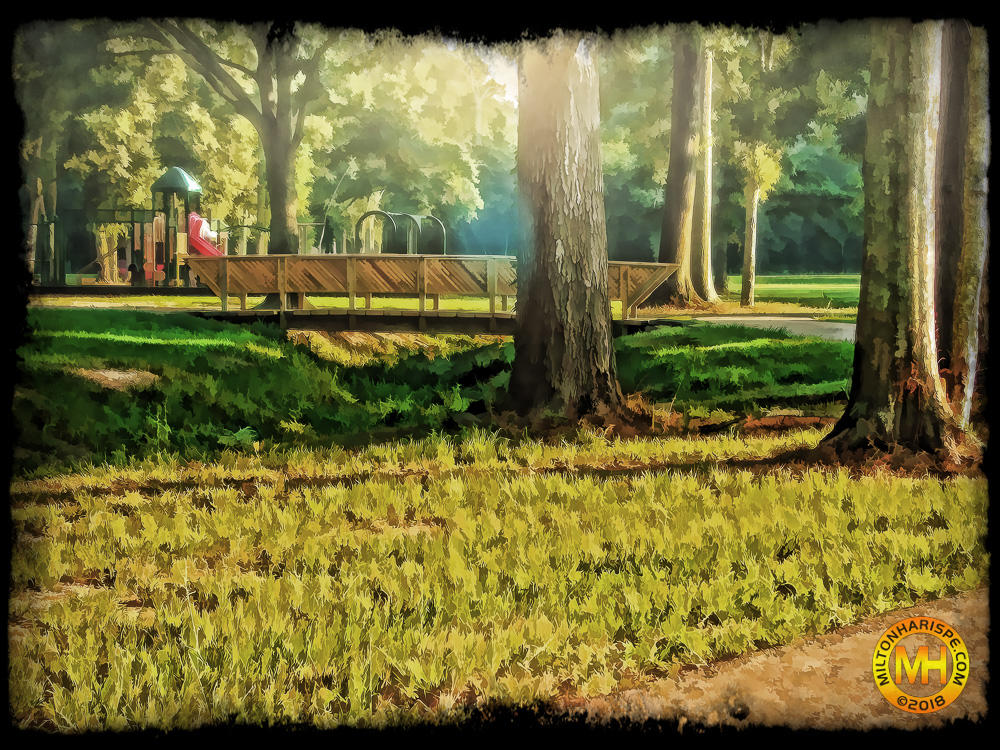 SN151752 copy Paint.jpg